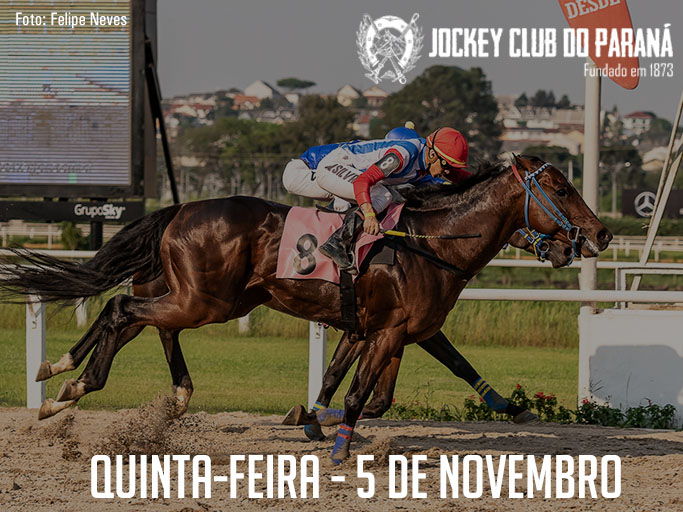 Jockey Club do Paraná promove as últimas preparatórias para a reunião do GP “Paraná” – (G3)