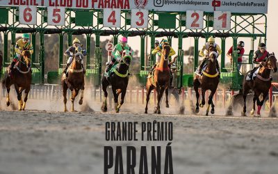 GP Paraná 2022: Semana de inscrições traz expectativa